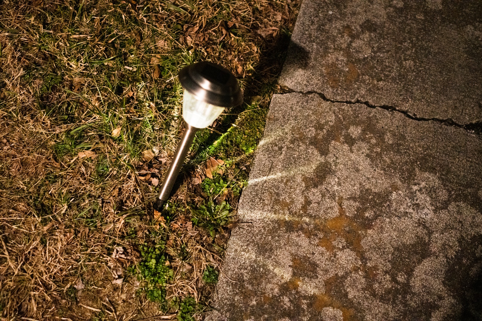 Illuminated Solitude