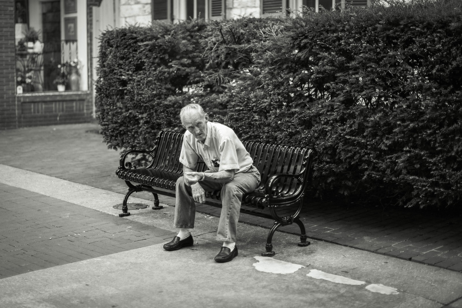 Contemplation in Shadows