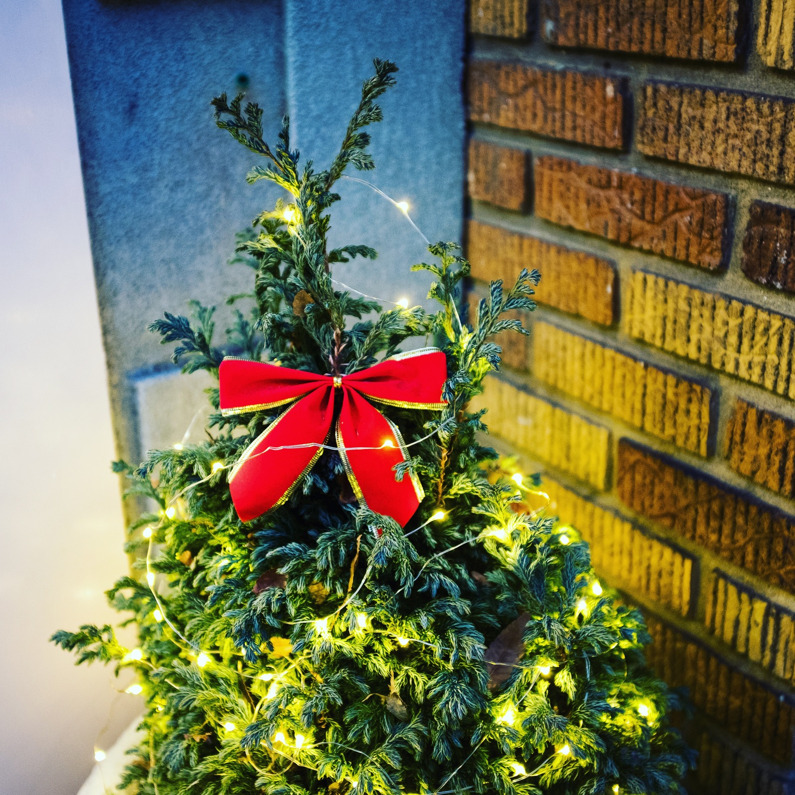 Festive Holiday Spirit