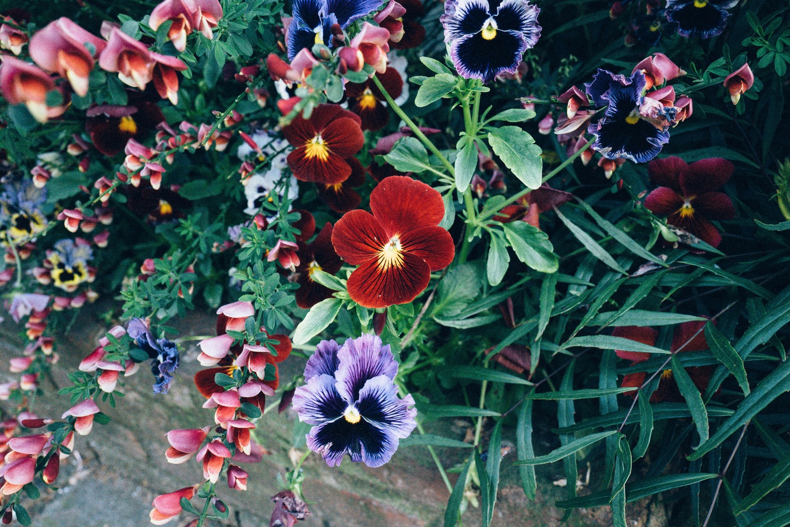 Floral Tapestry of Color