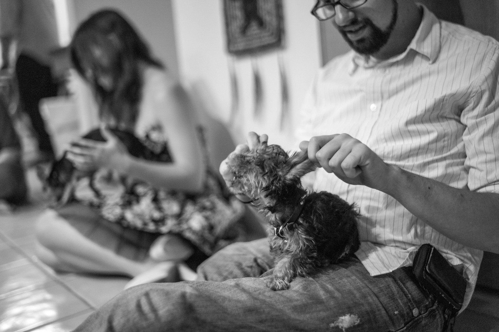 Playful Companionship