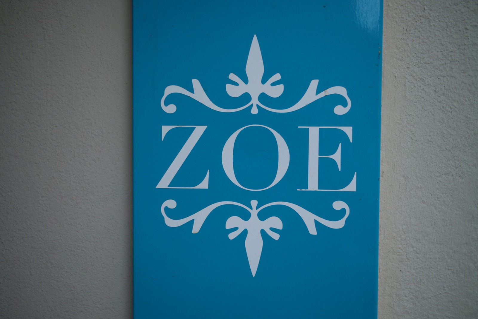 Elegant Signage in Blue