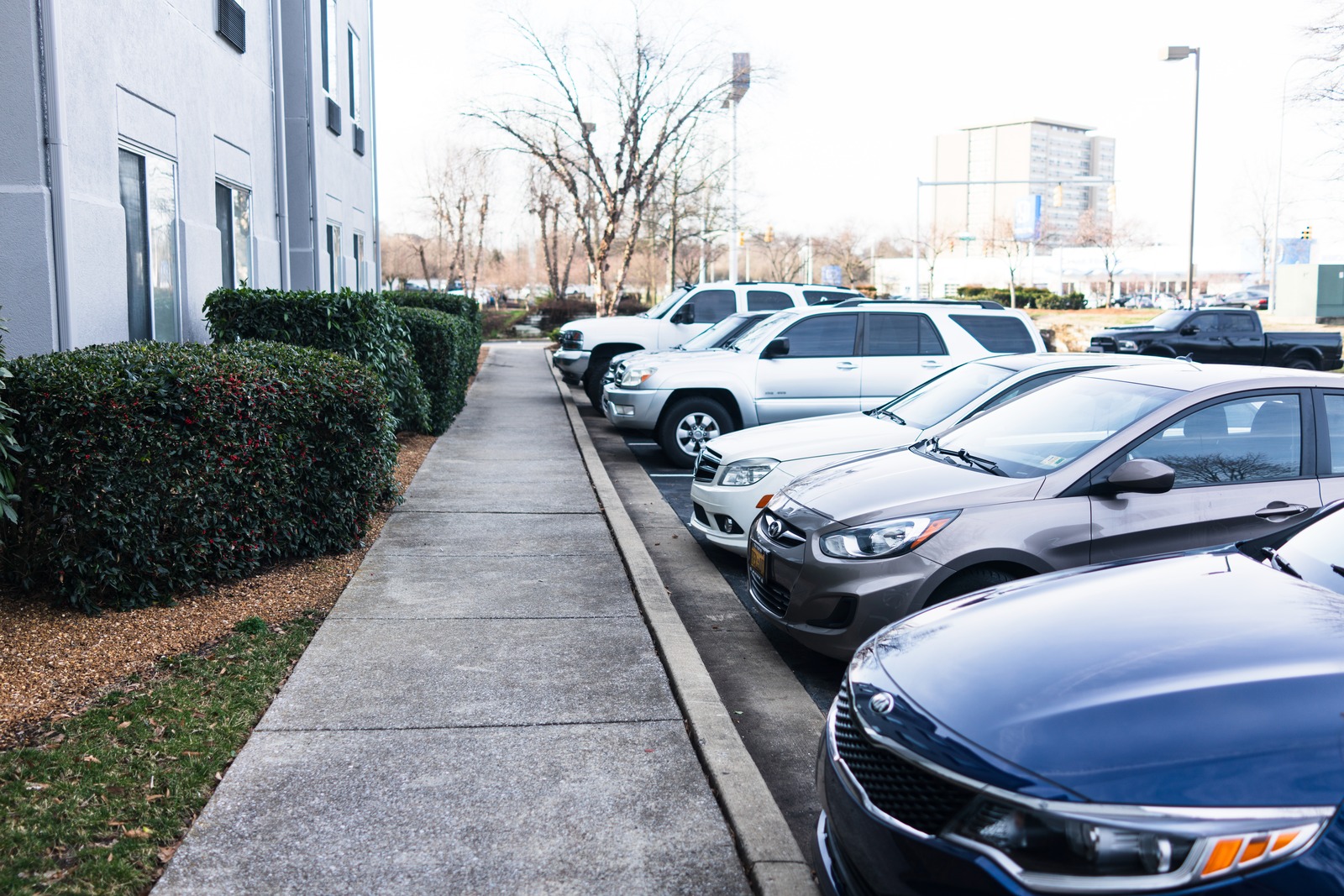 Urban Parking Serenity