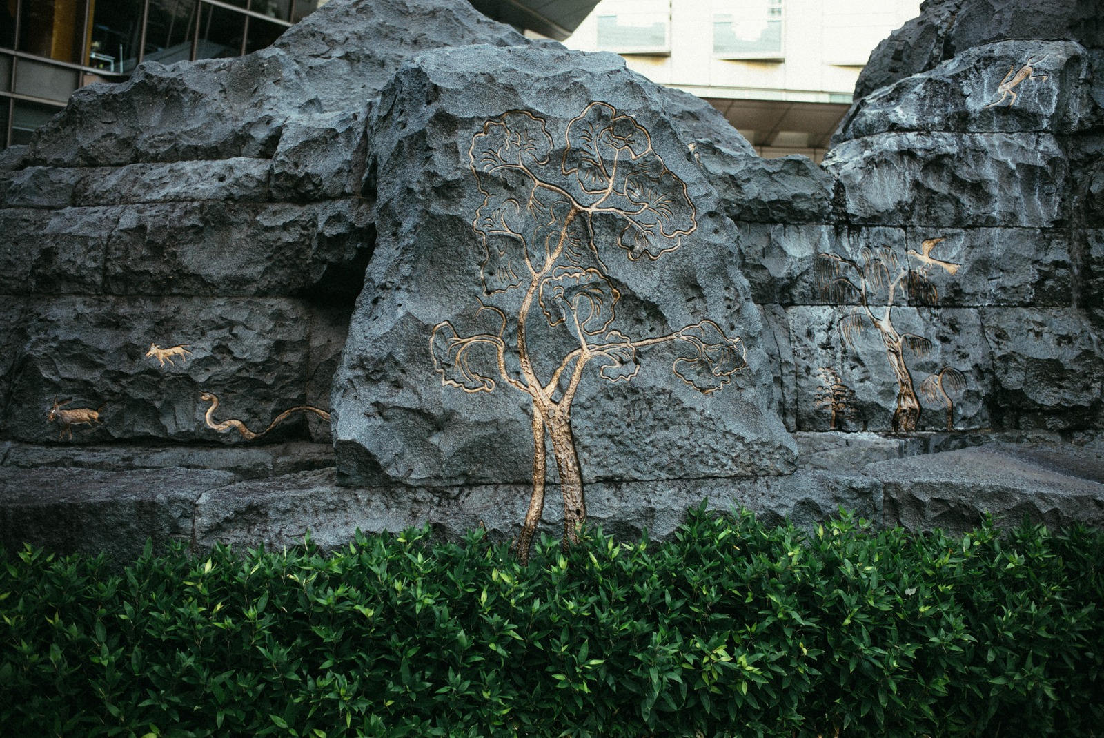 Nature Carved in Stone