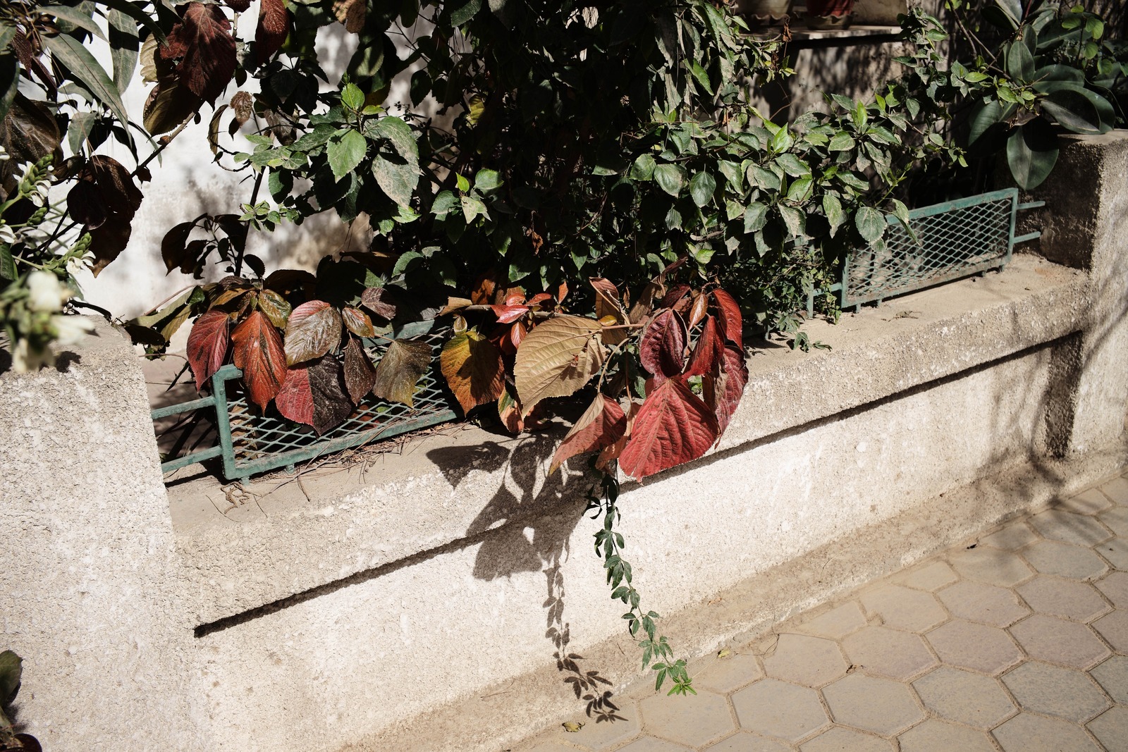 Autumn's Quiet Embrace