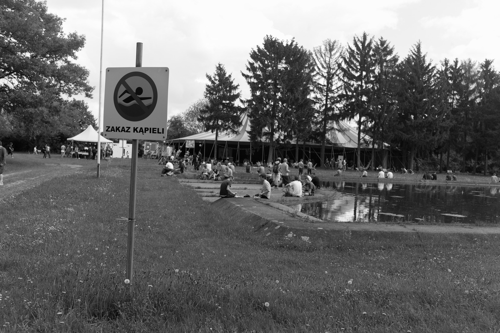 Serene Gathering by the Water