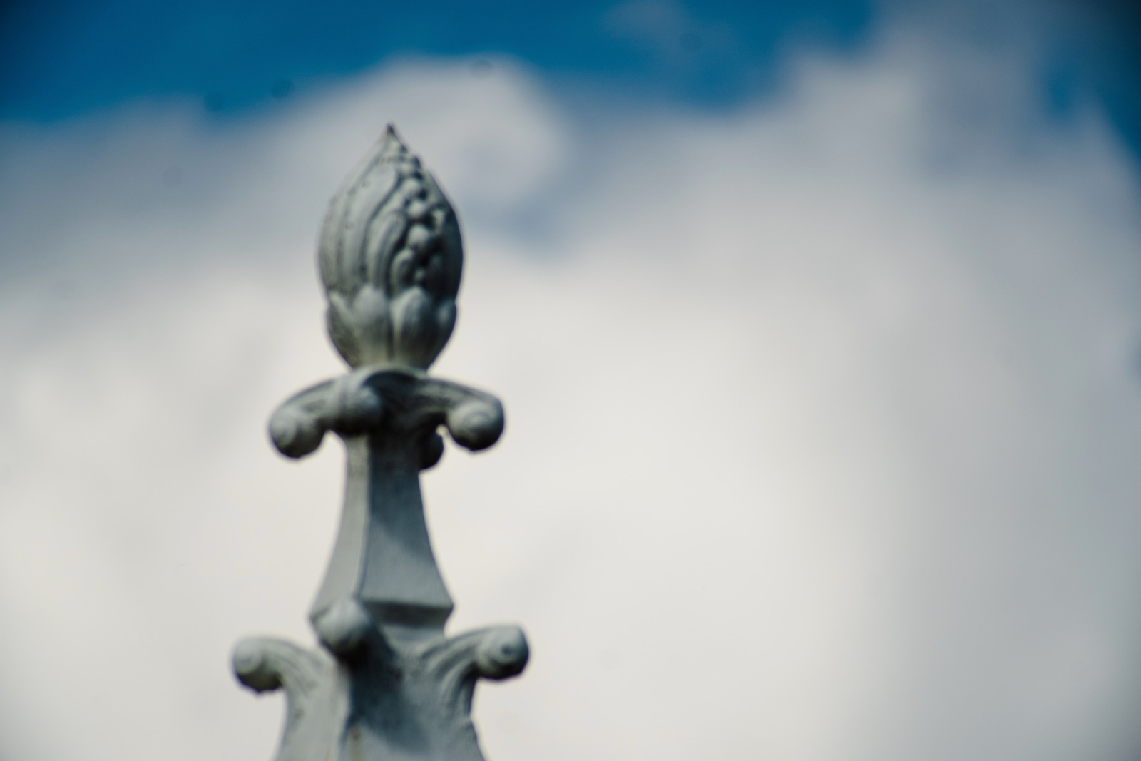 Whispers of Elegance