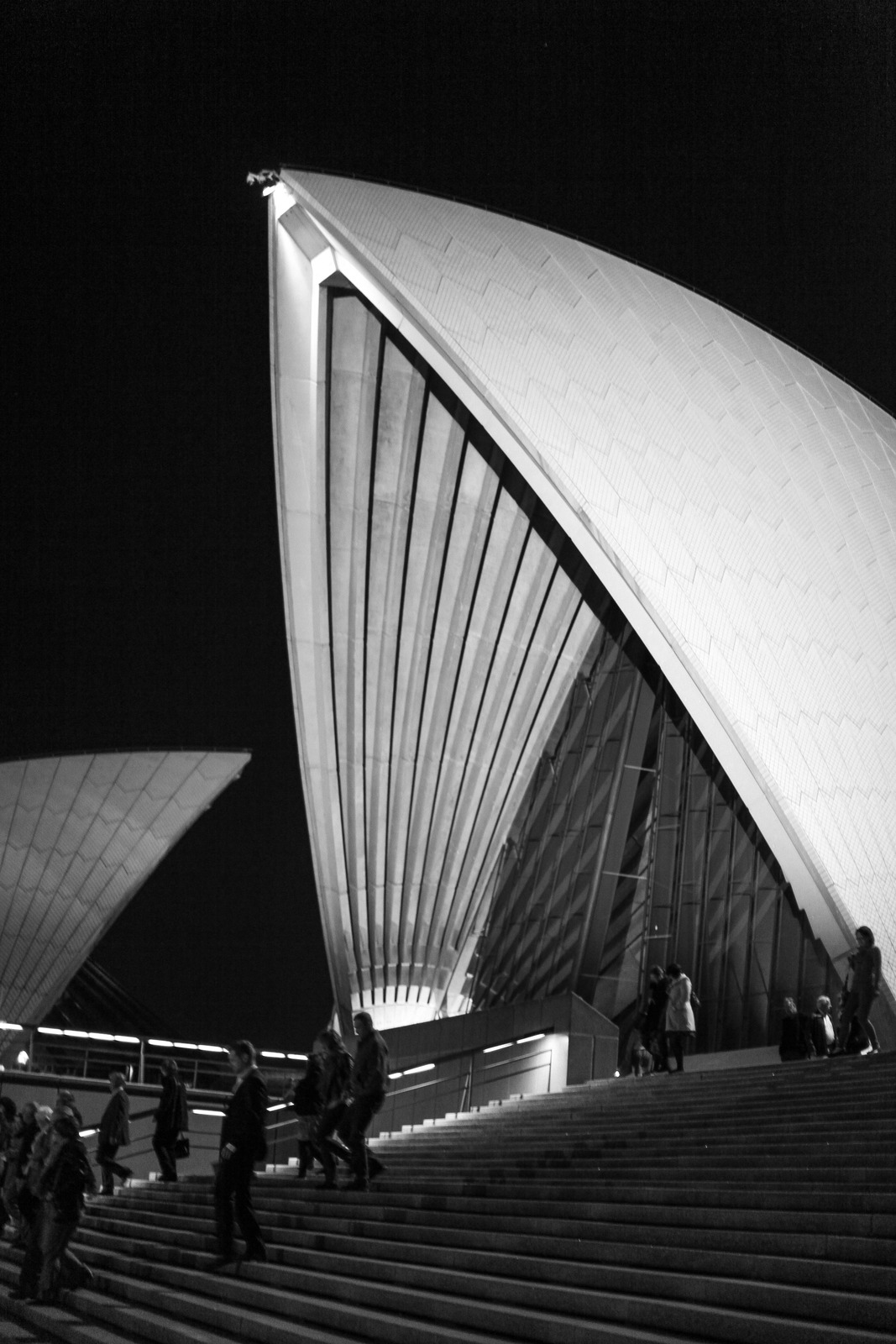 Architectural Elegance at Night