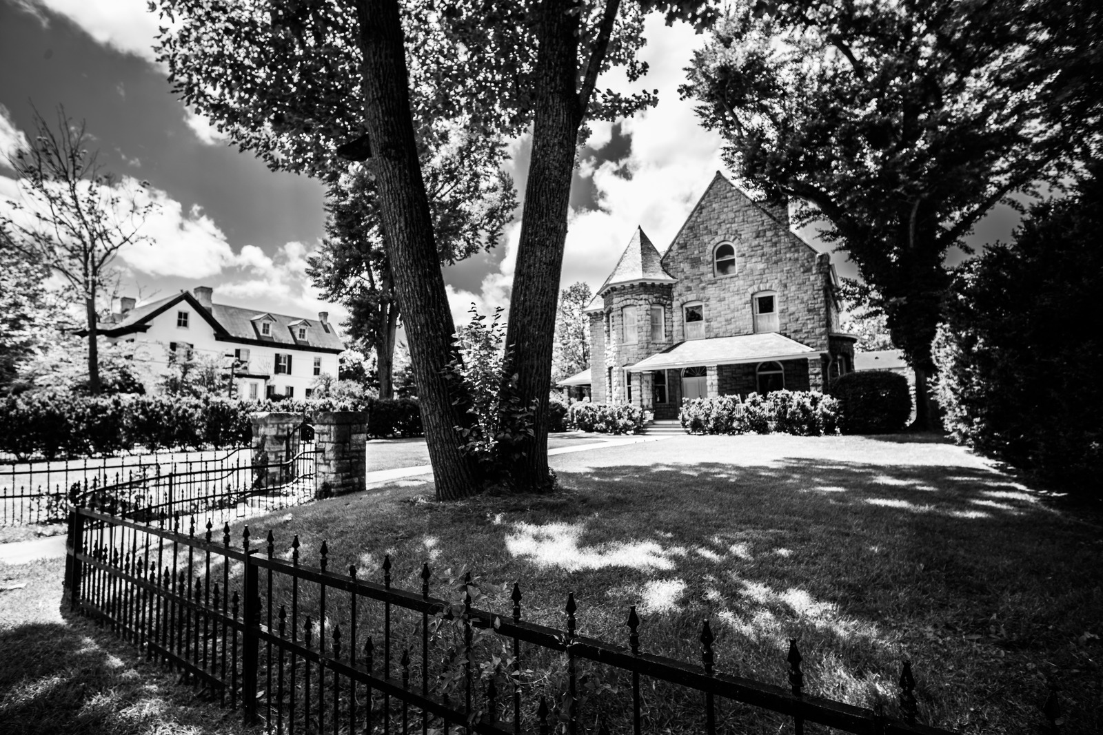 Timeless Elegance in Monochrome