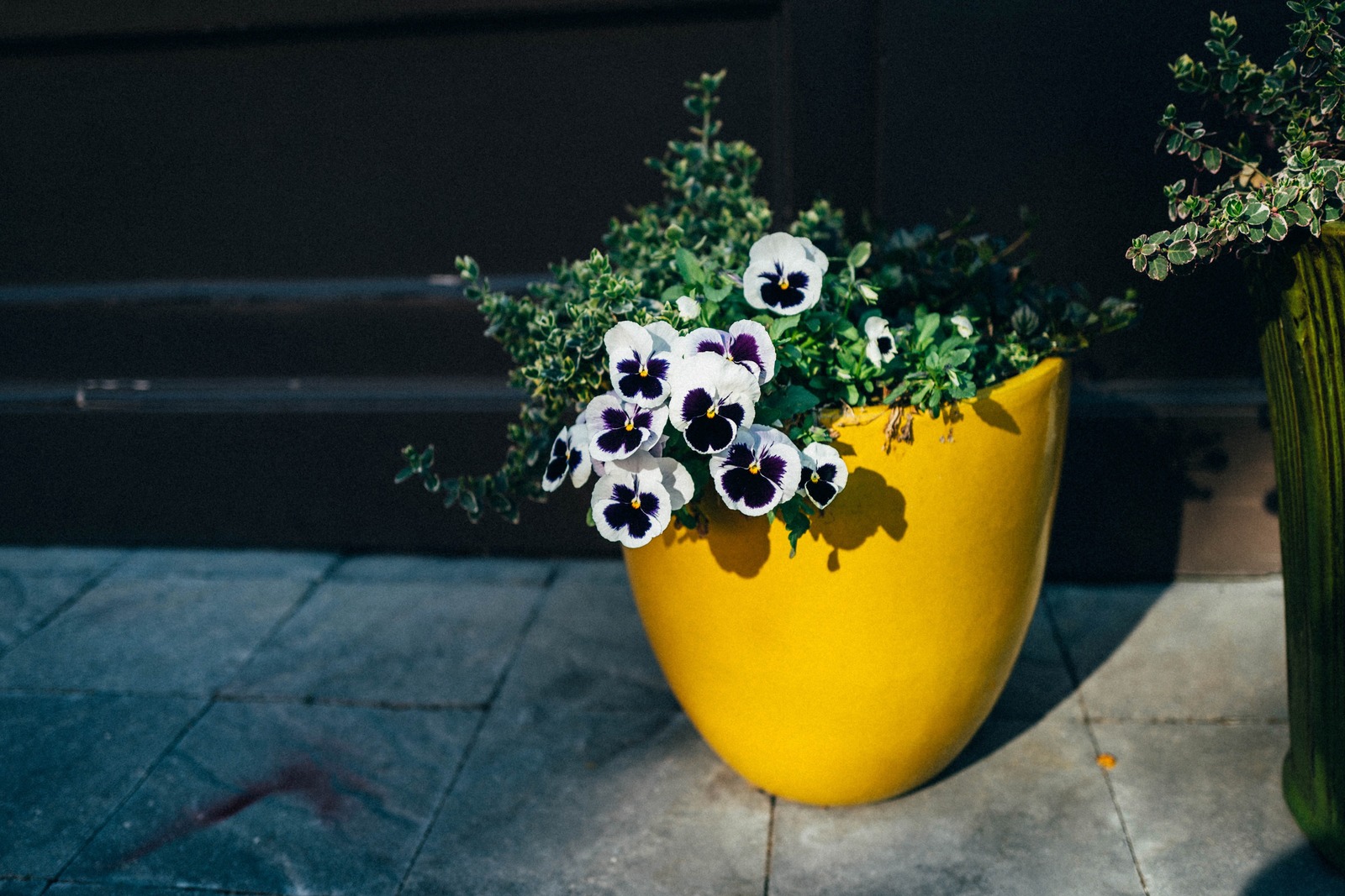 Vibrant Floral Display