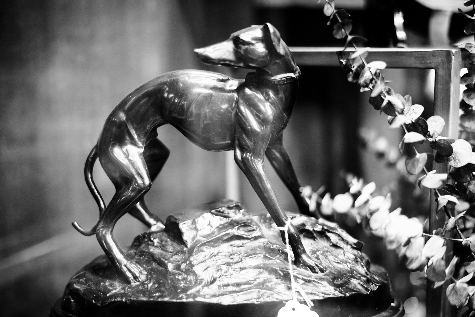 Elegant Canine in Bronze