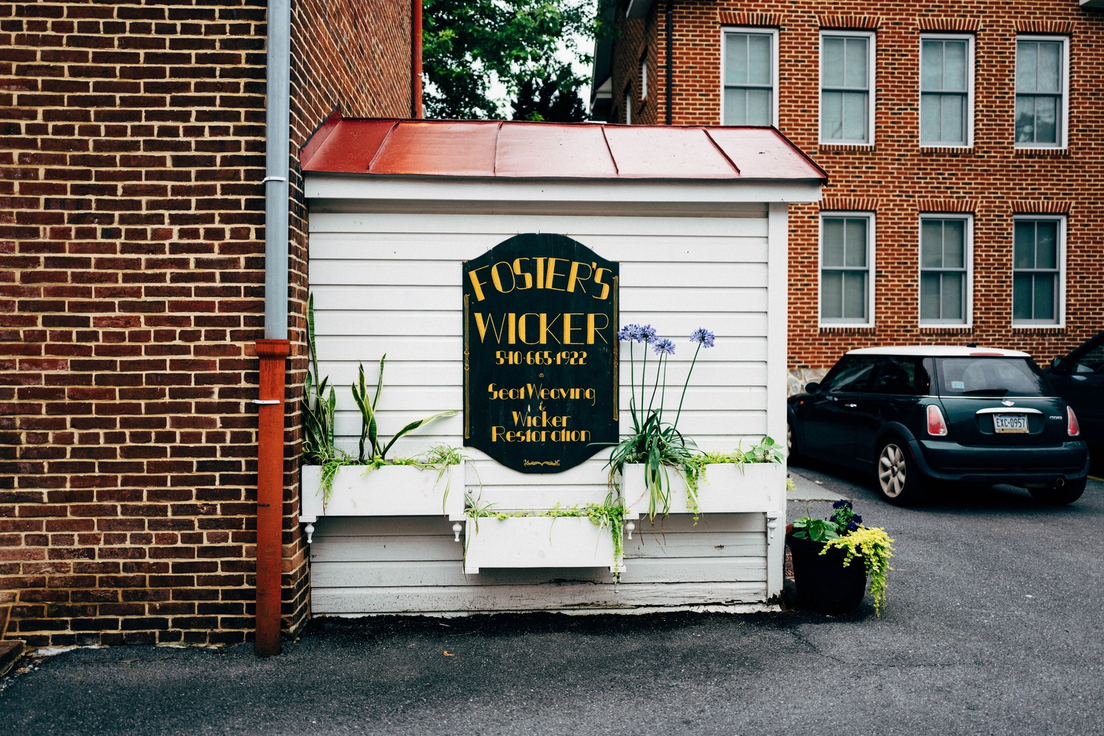 A Hidden Gem of Wicker