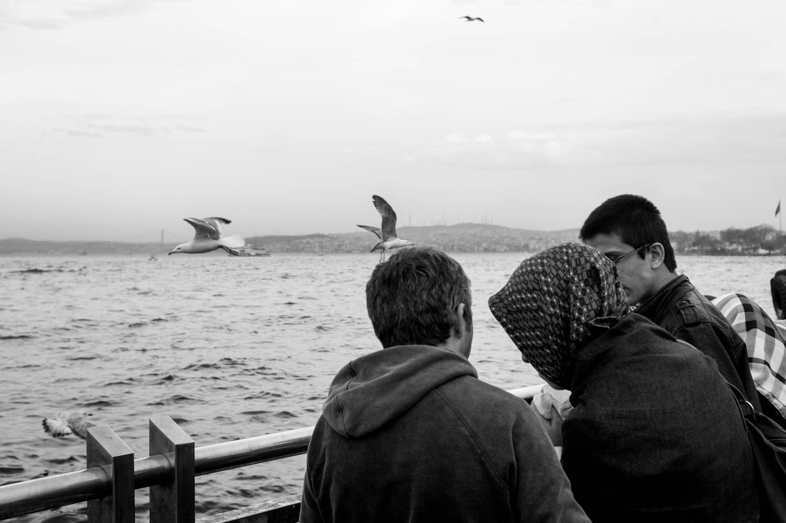 Silent Moments by the Sea