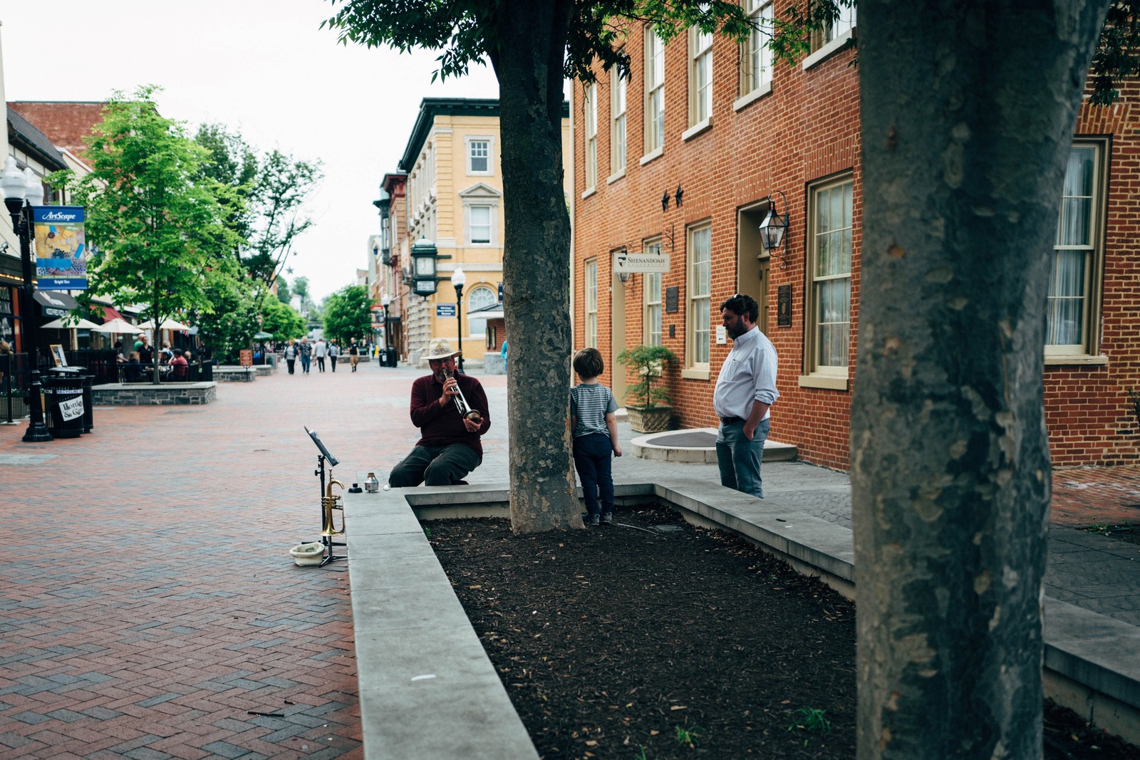 A Serene Street Performance