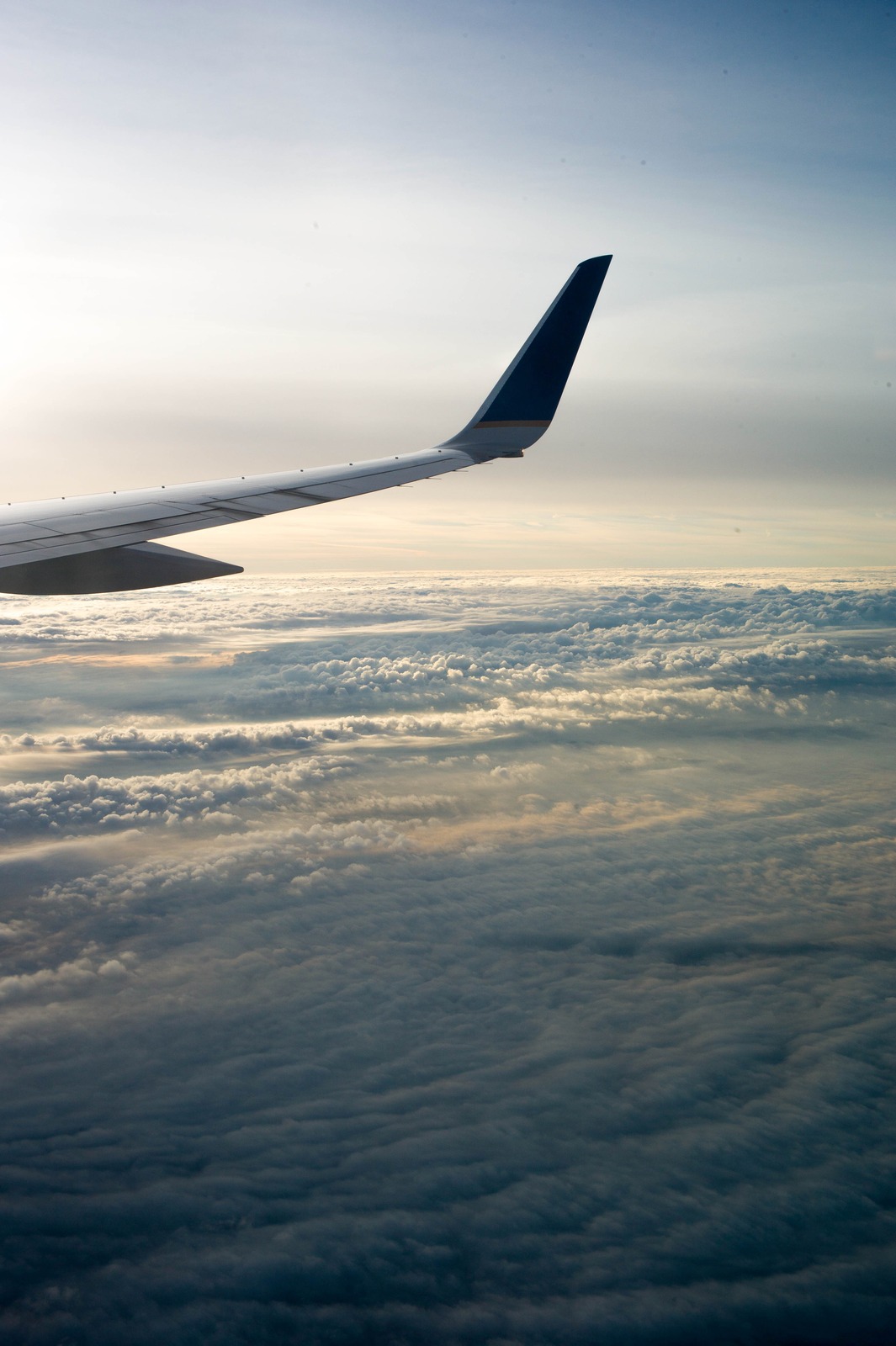 Soaring Above the Clouds