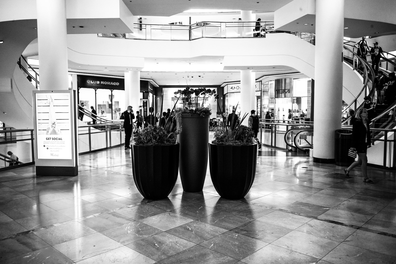 Urban Serenity in Monochrome