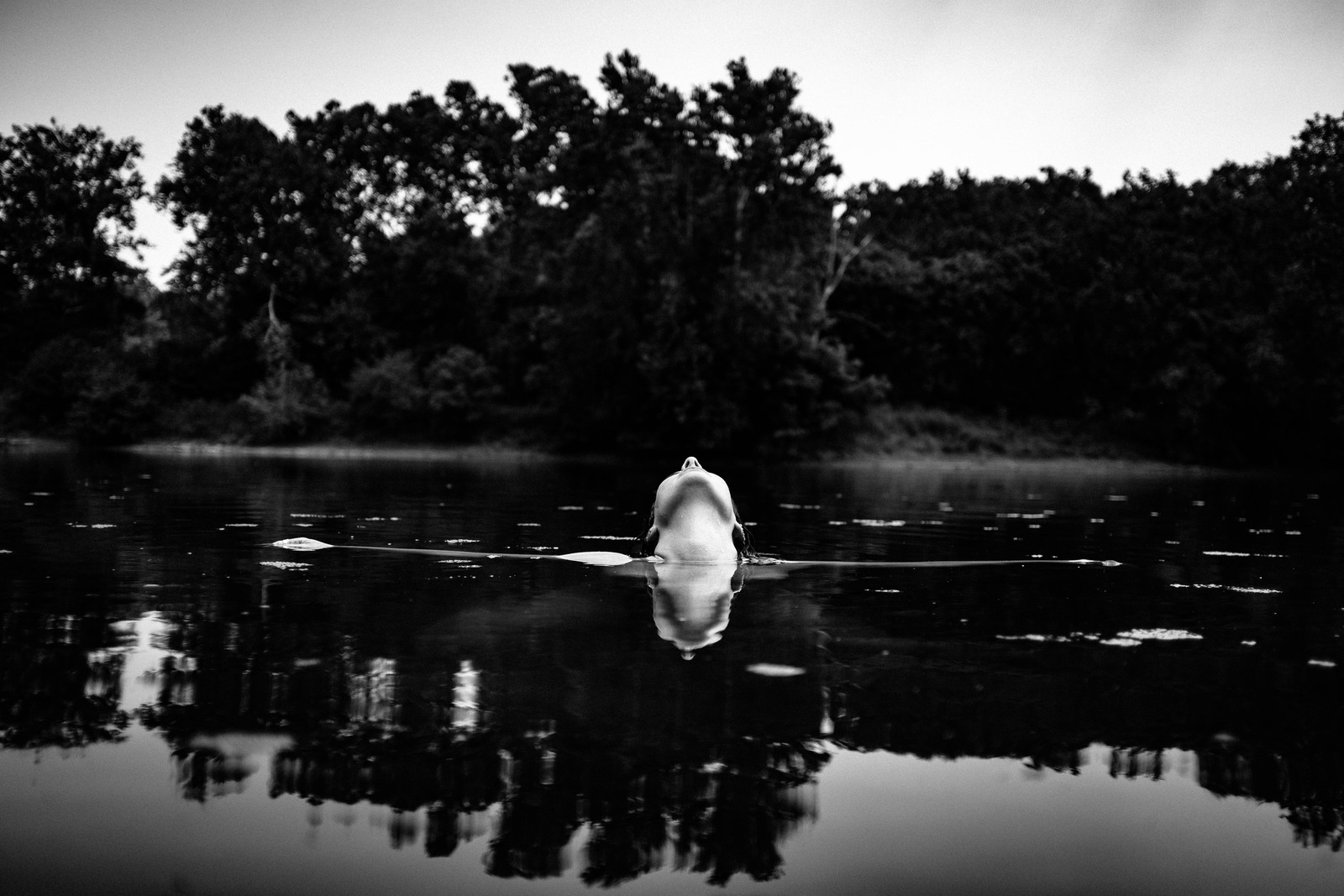 Serenity in Reflection