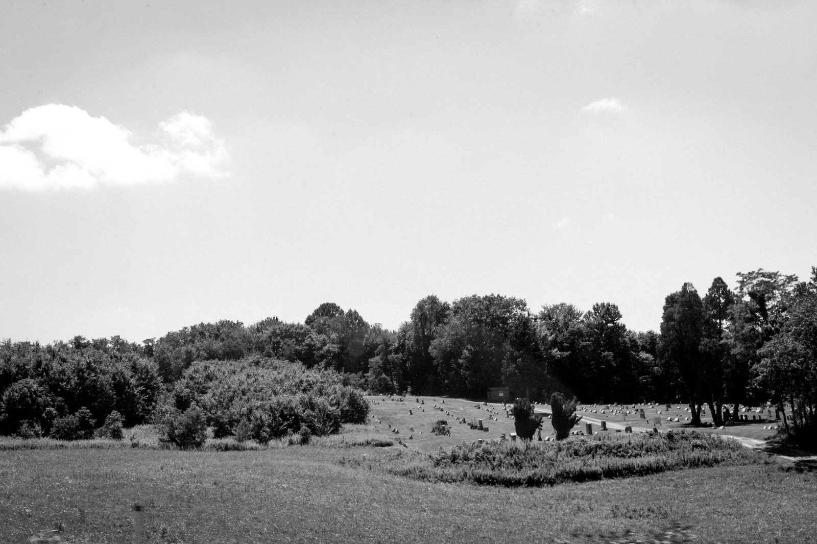 Whispers of the Past