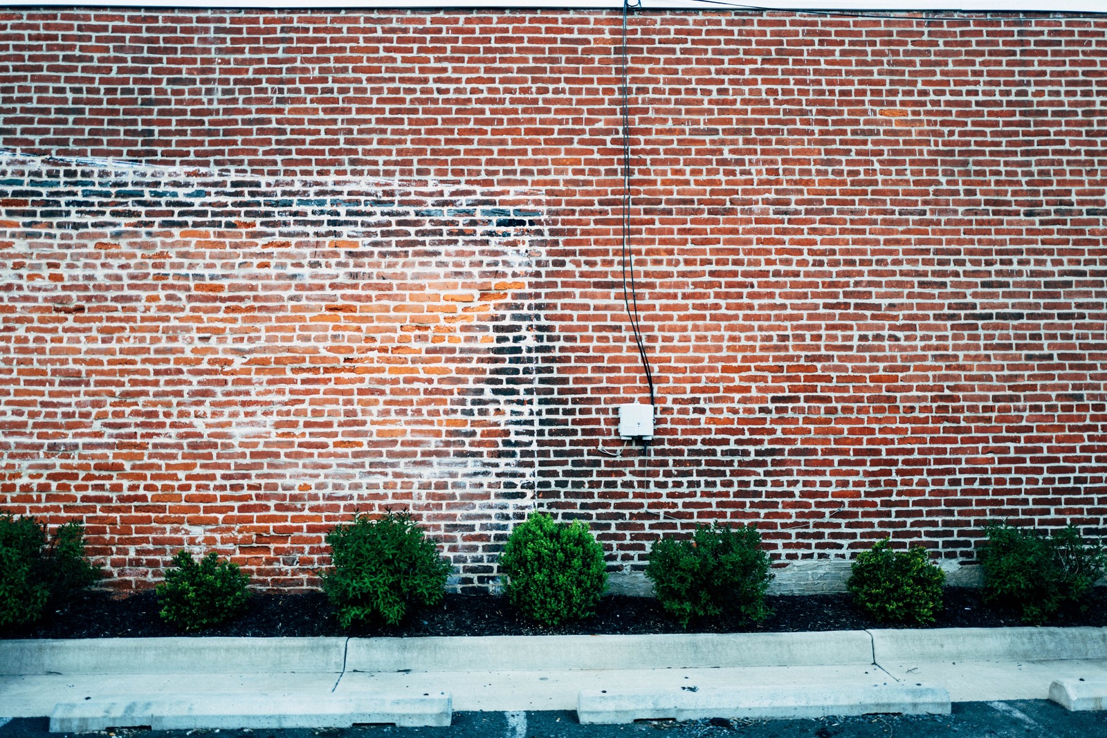 Urban Wall with Greenery
