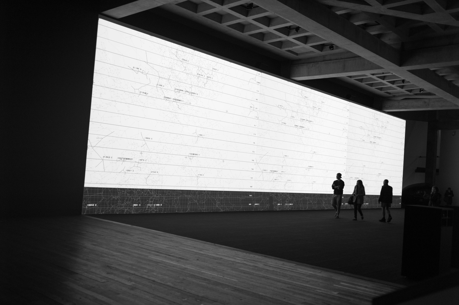 Silent Echoes of Data