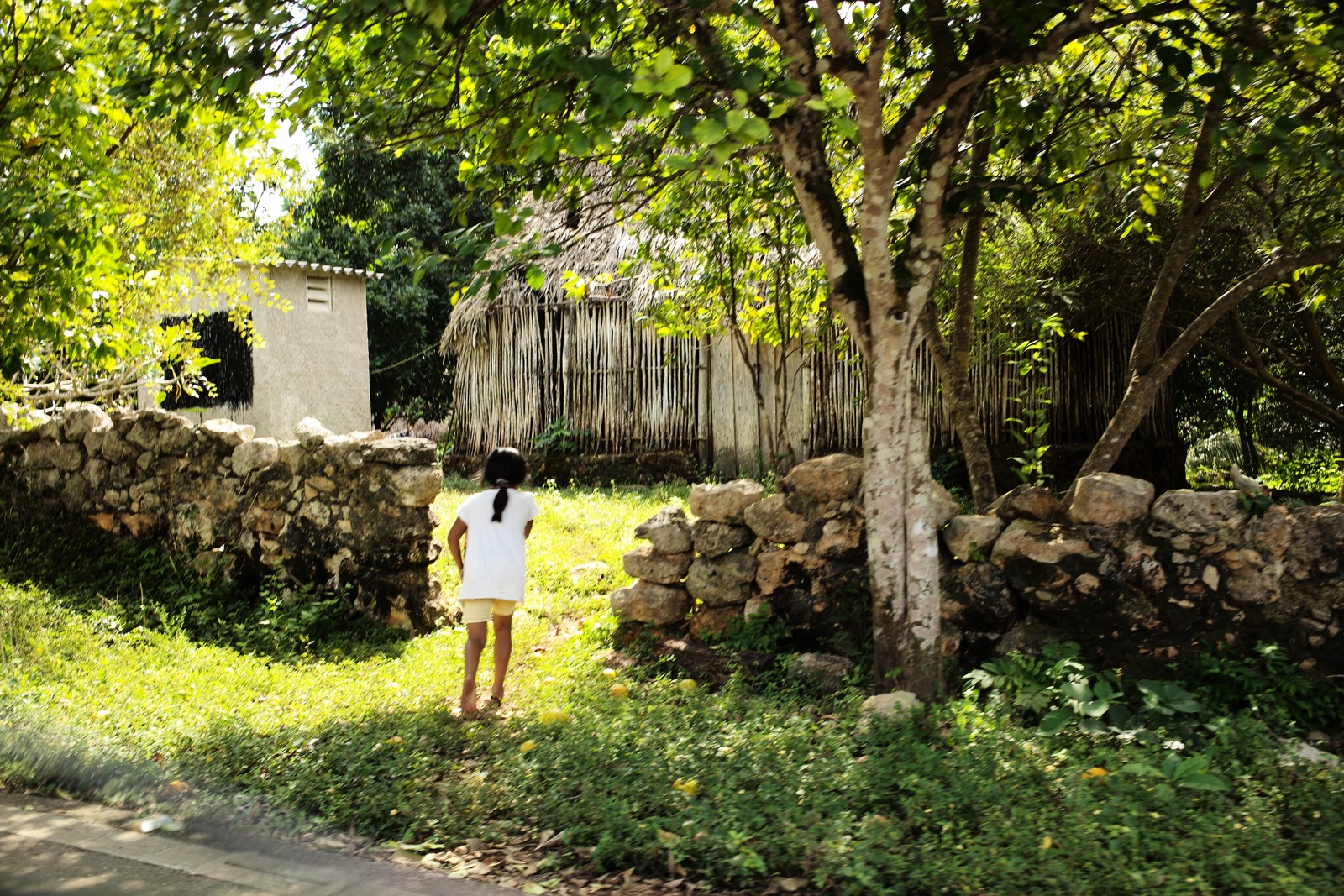 Childhood Innocence Amidst Nature