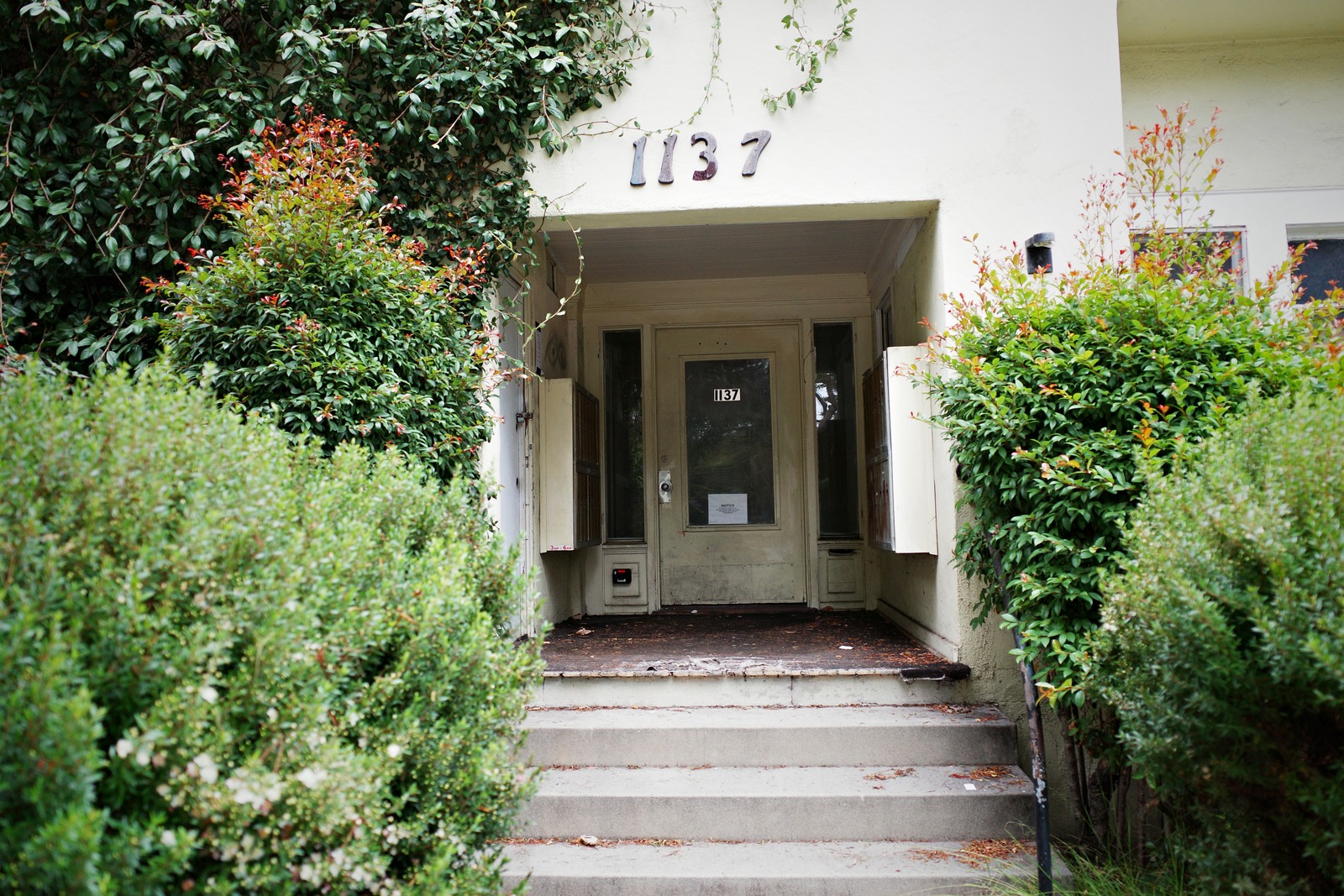 Whispers of the Past