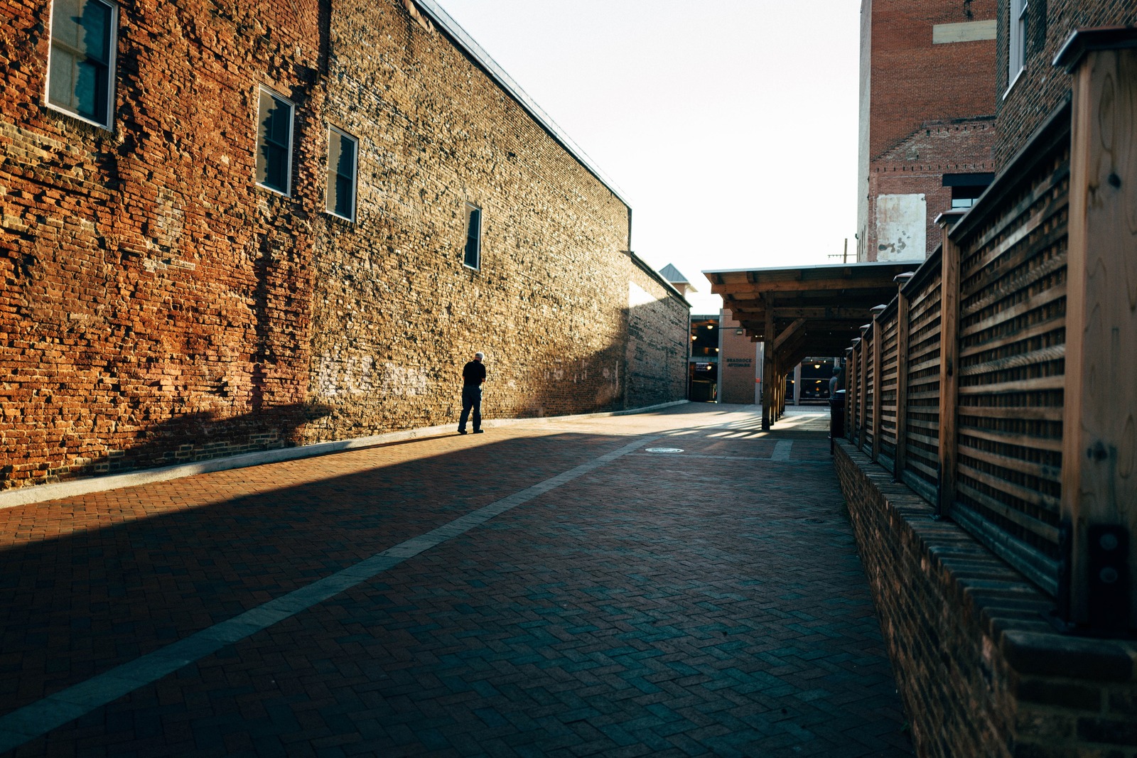 Quiet Solitude in Urban Light