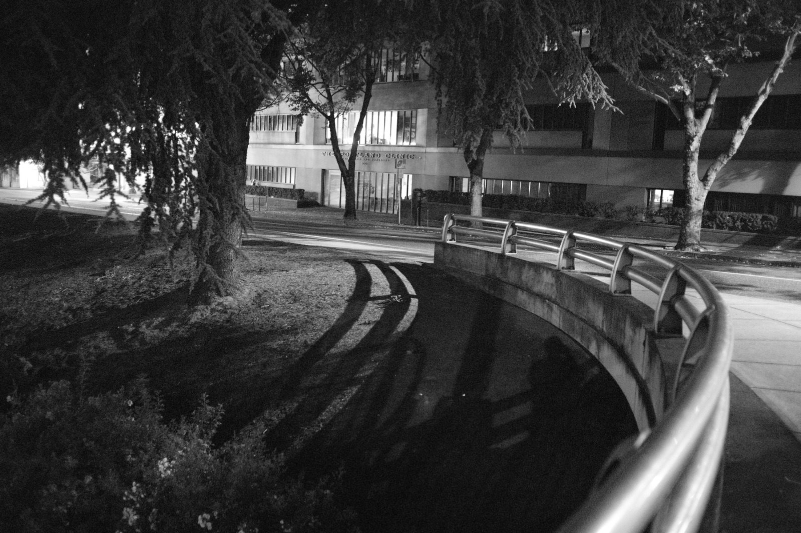 Whispers of the Night