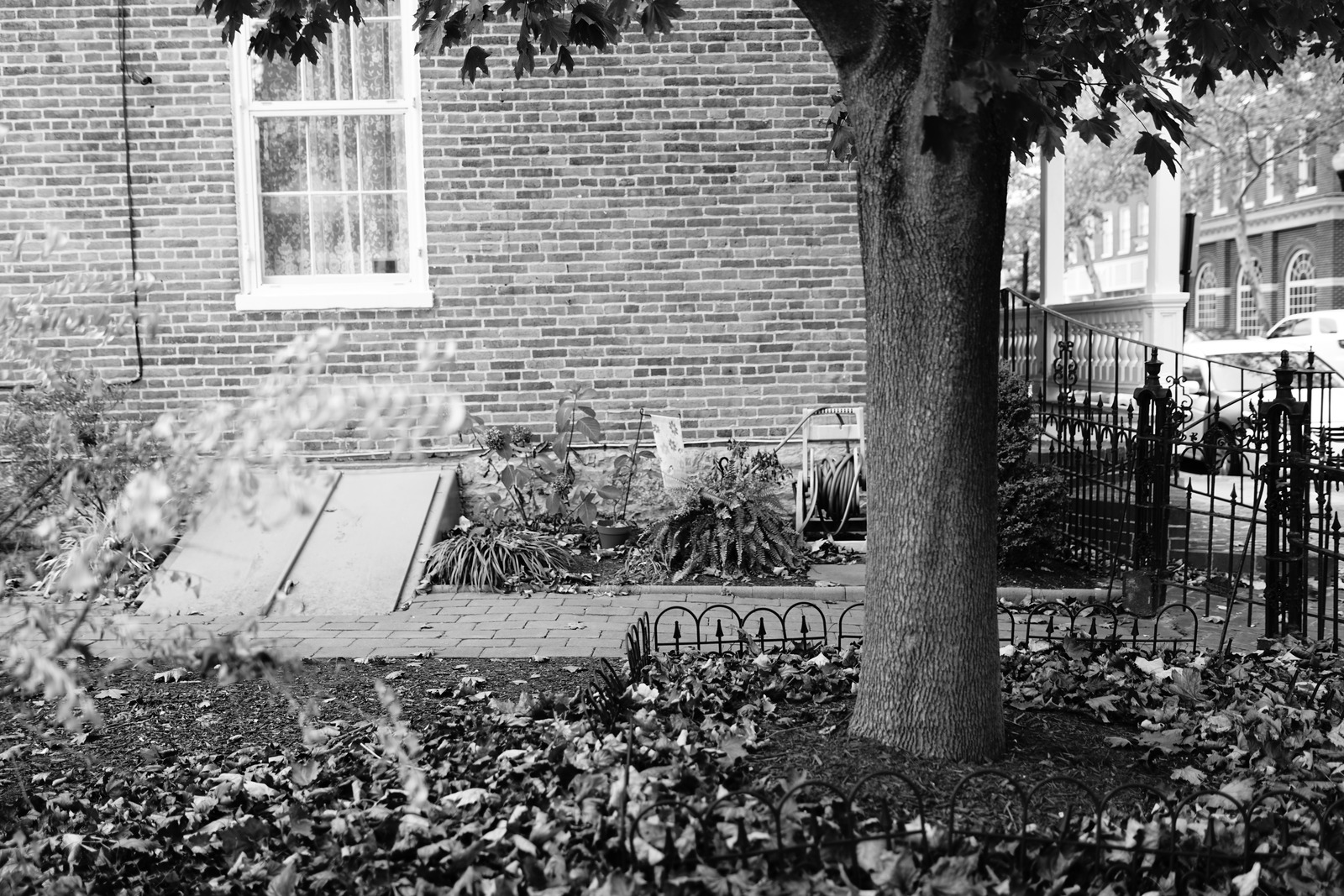 Quiet Corner of Urban Life