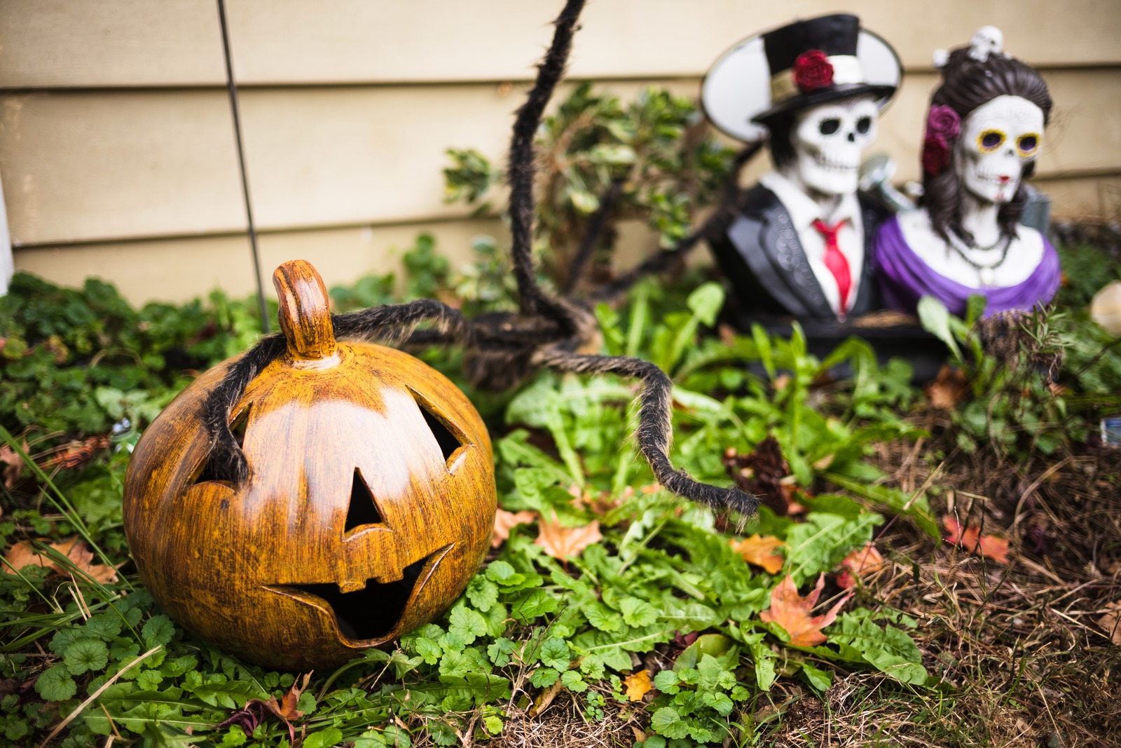 Spooky Autumn Whimsy