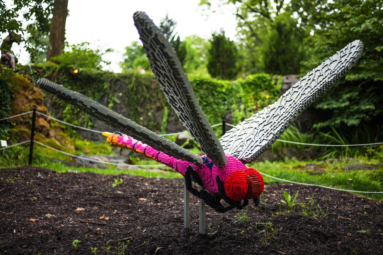 Whimsical Lego Dragonfly