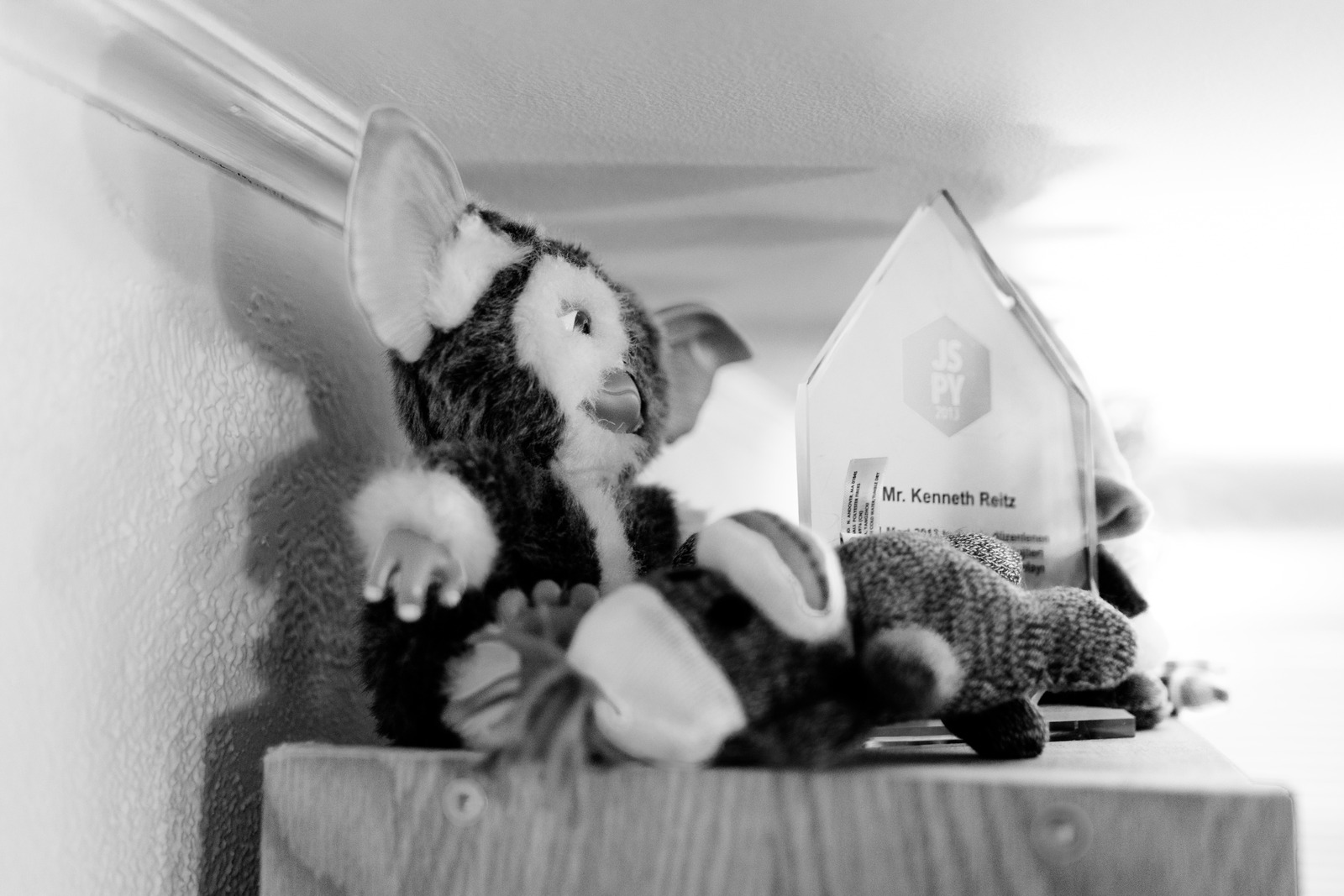 Whimsical Shelf Companions