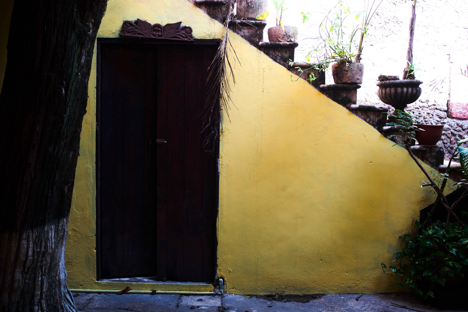 Whispers of an Abandoned Path