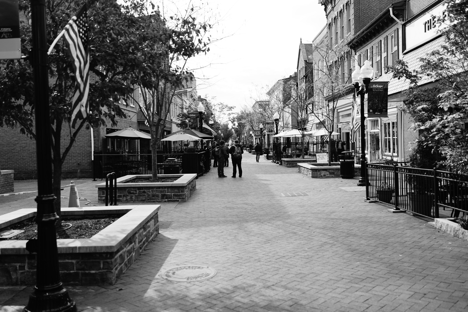 Quiet Street in Monochrome