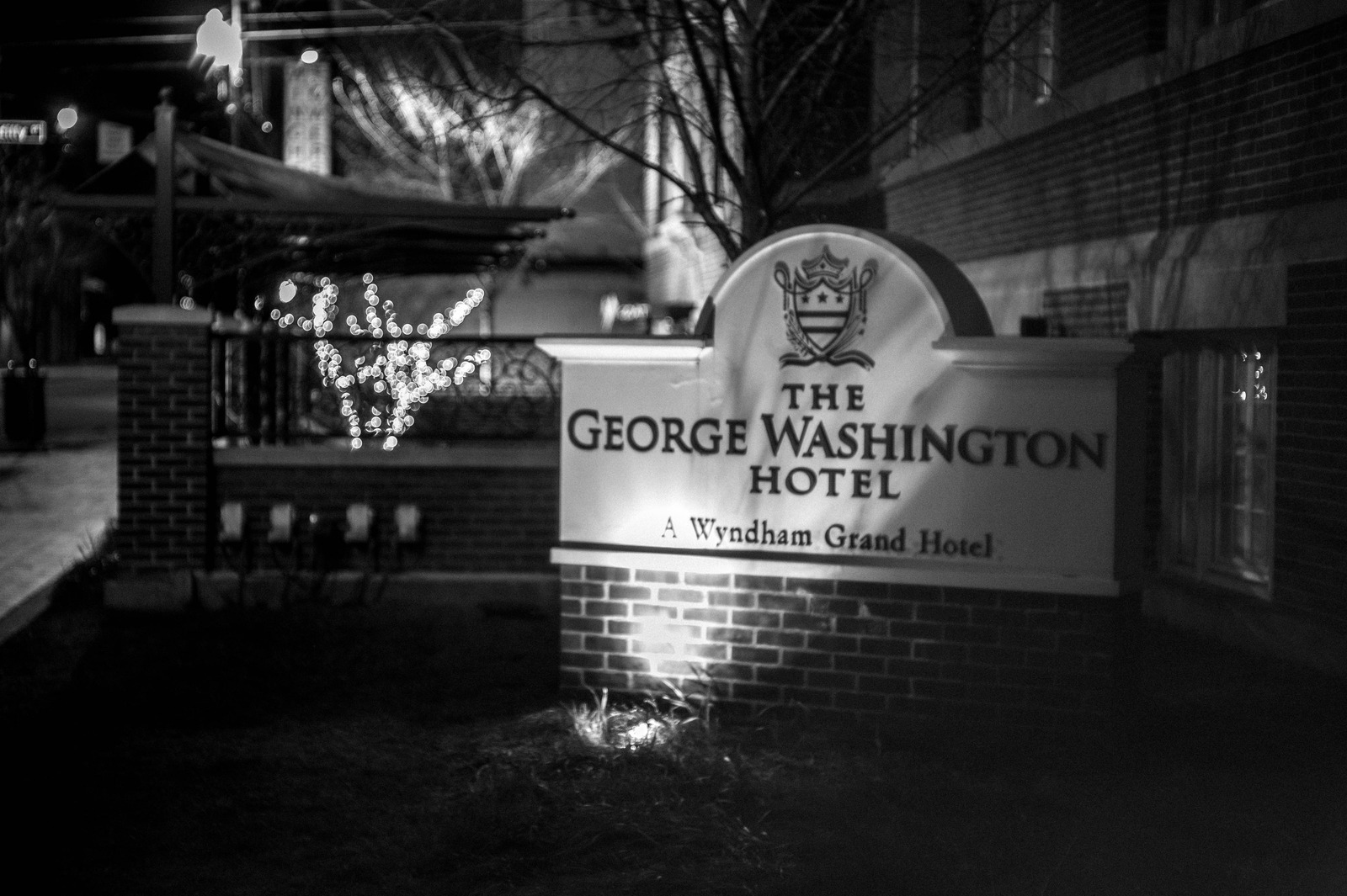 Illuminated Elegance at Night