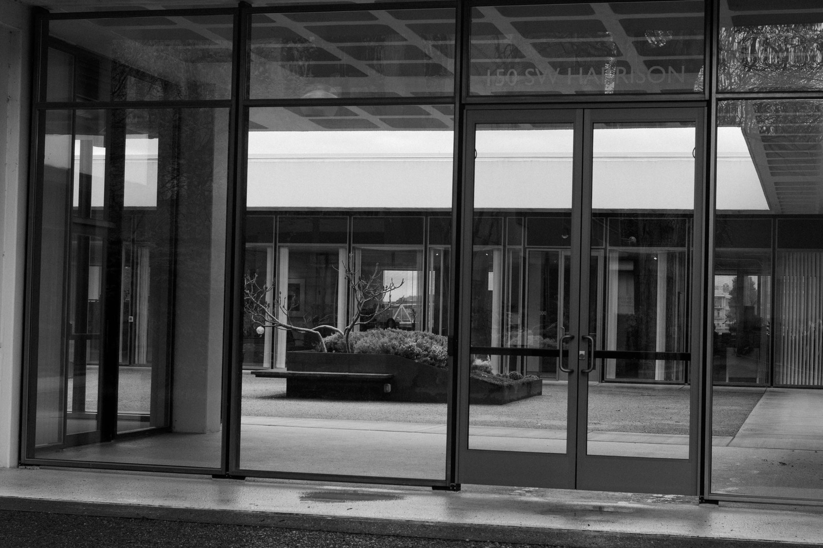 Monochrome Urban Entryway