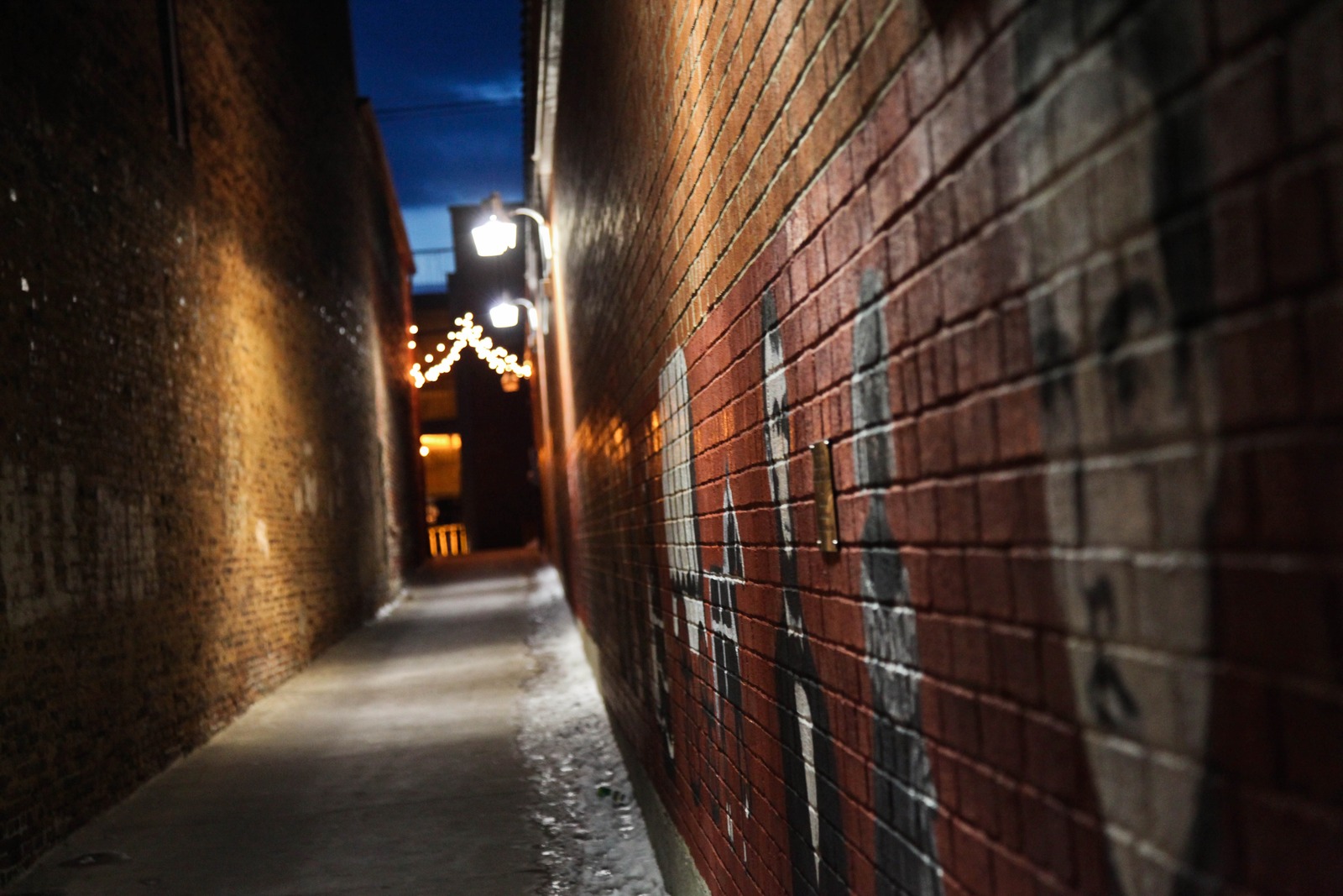 Whispers of the Night