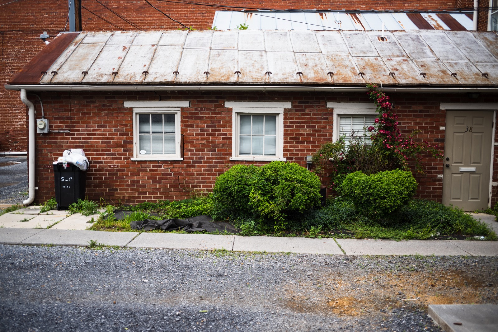 Weathered Charm of Urban Life