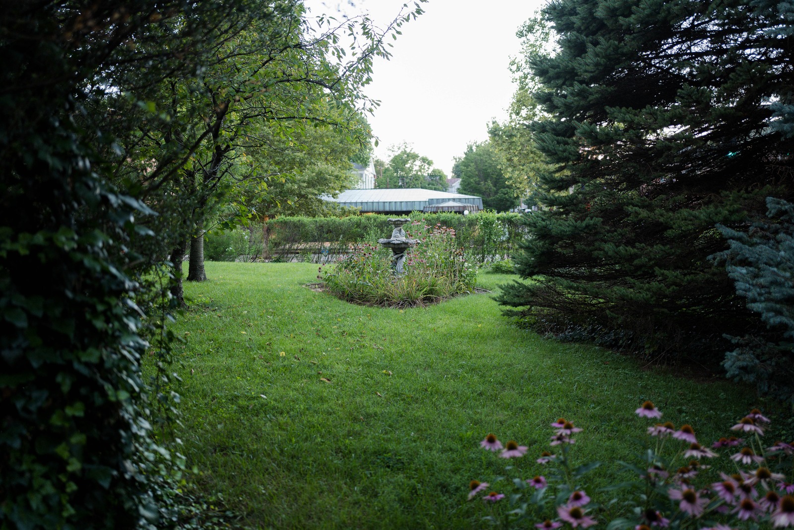 Serene Garden Pathway