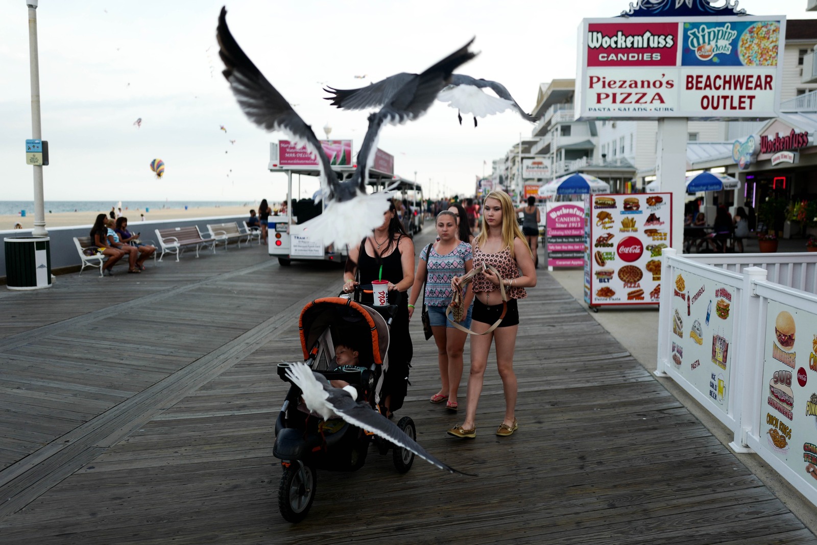 Seagulls and Summer Strolls