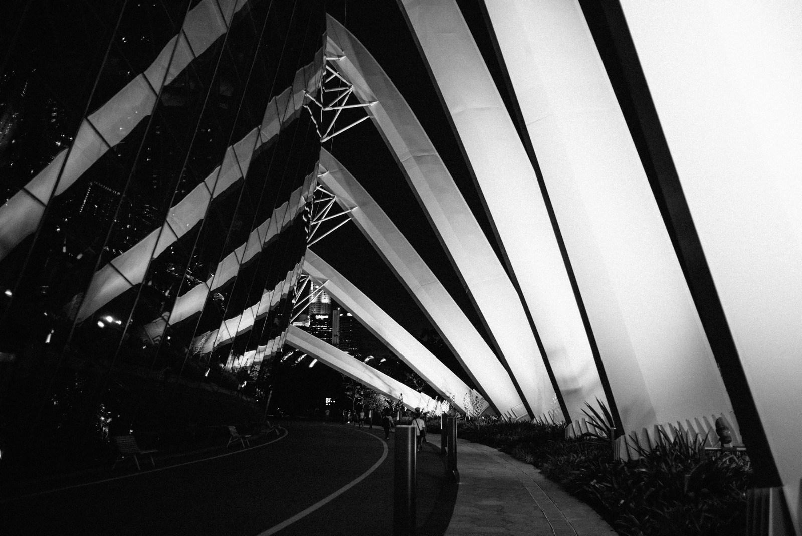 Architectural Elegance at Night