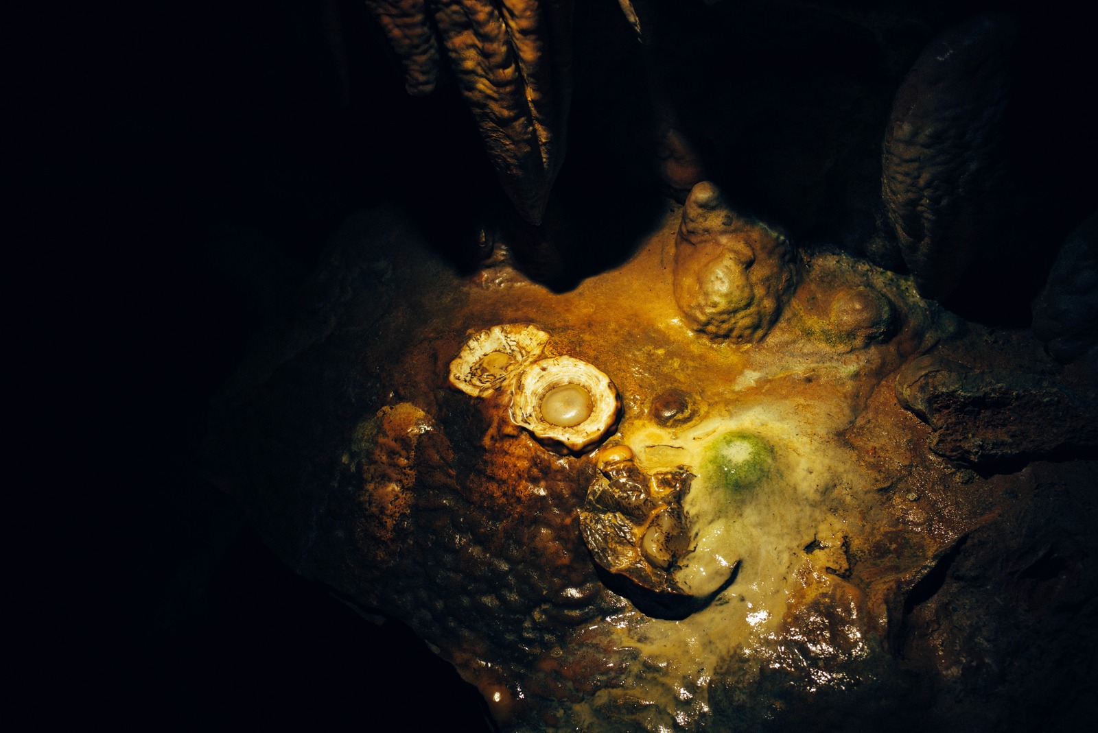 Whispers of the Earth