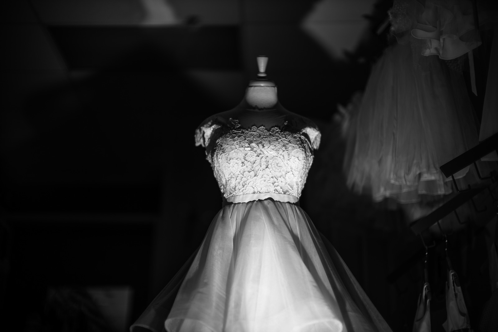 Illuminated Elegance