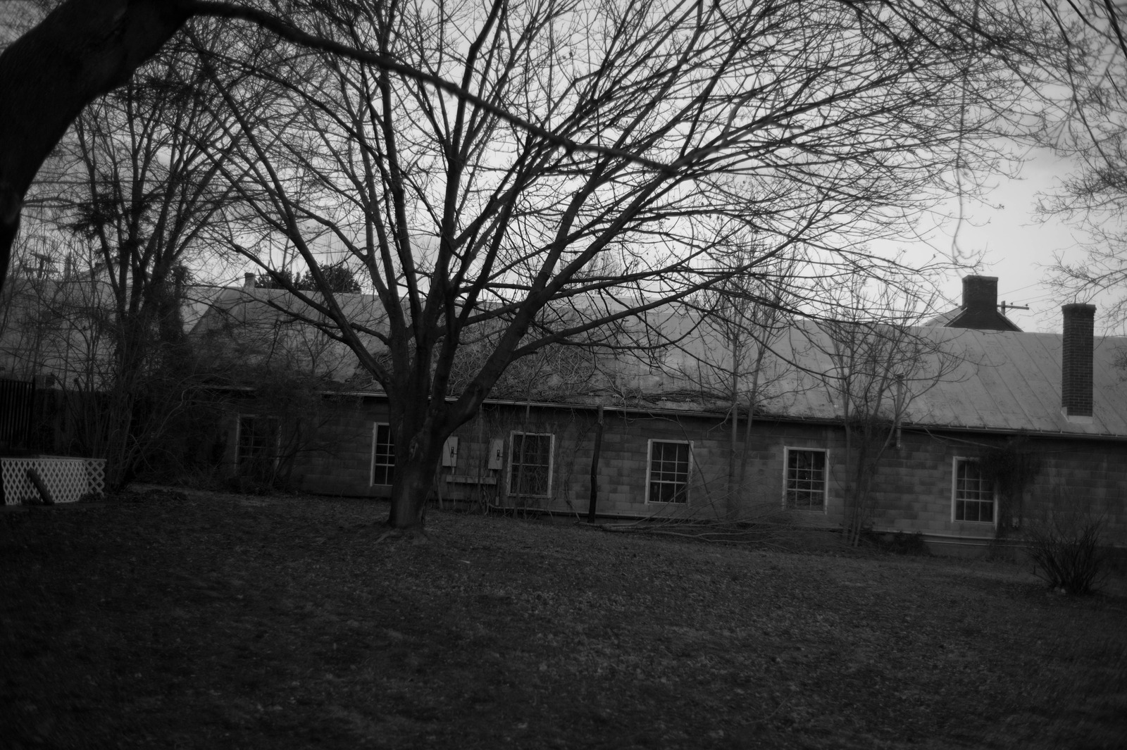 Echoes of a Forgotten Home