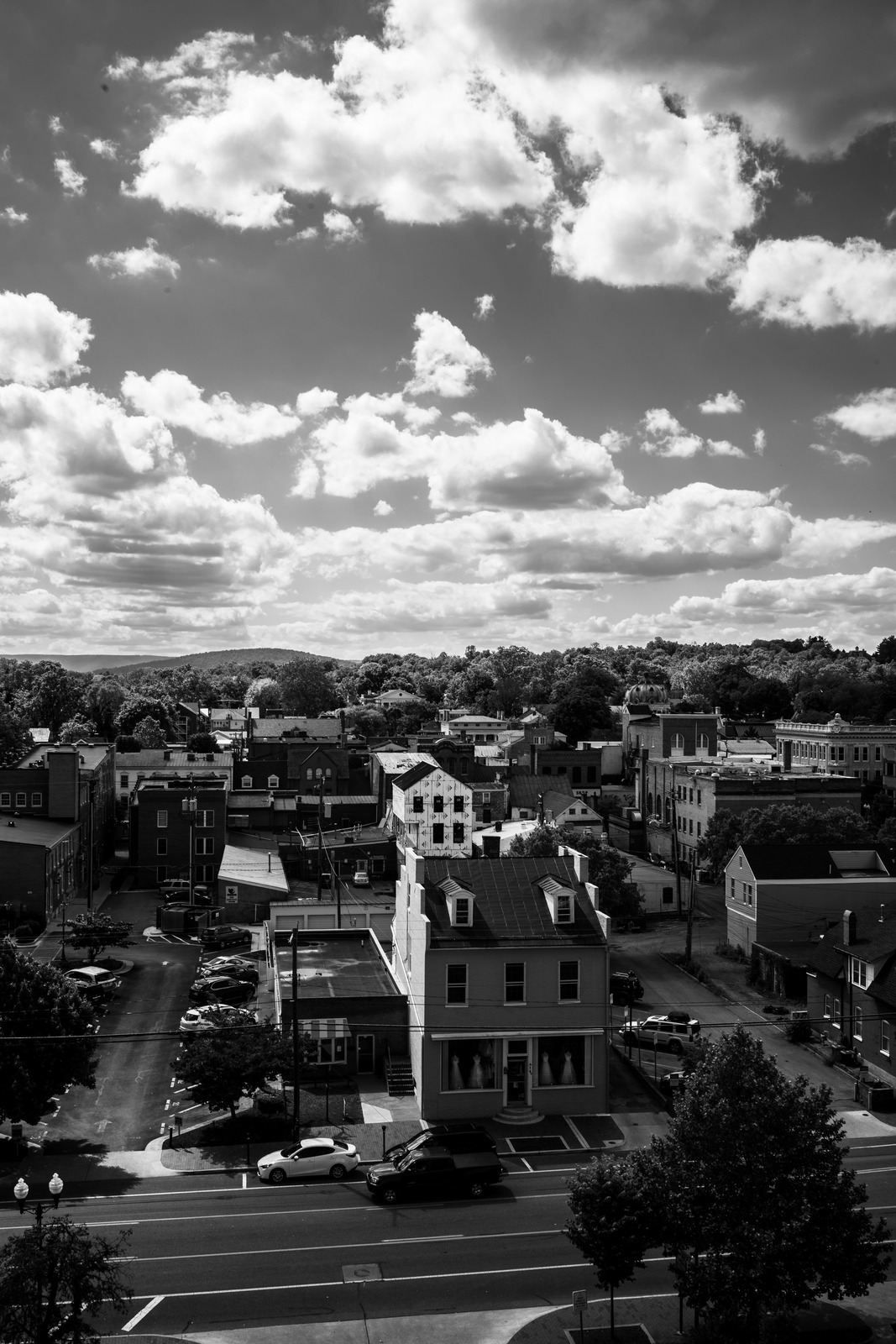 Urban Serenity in Monochrome