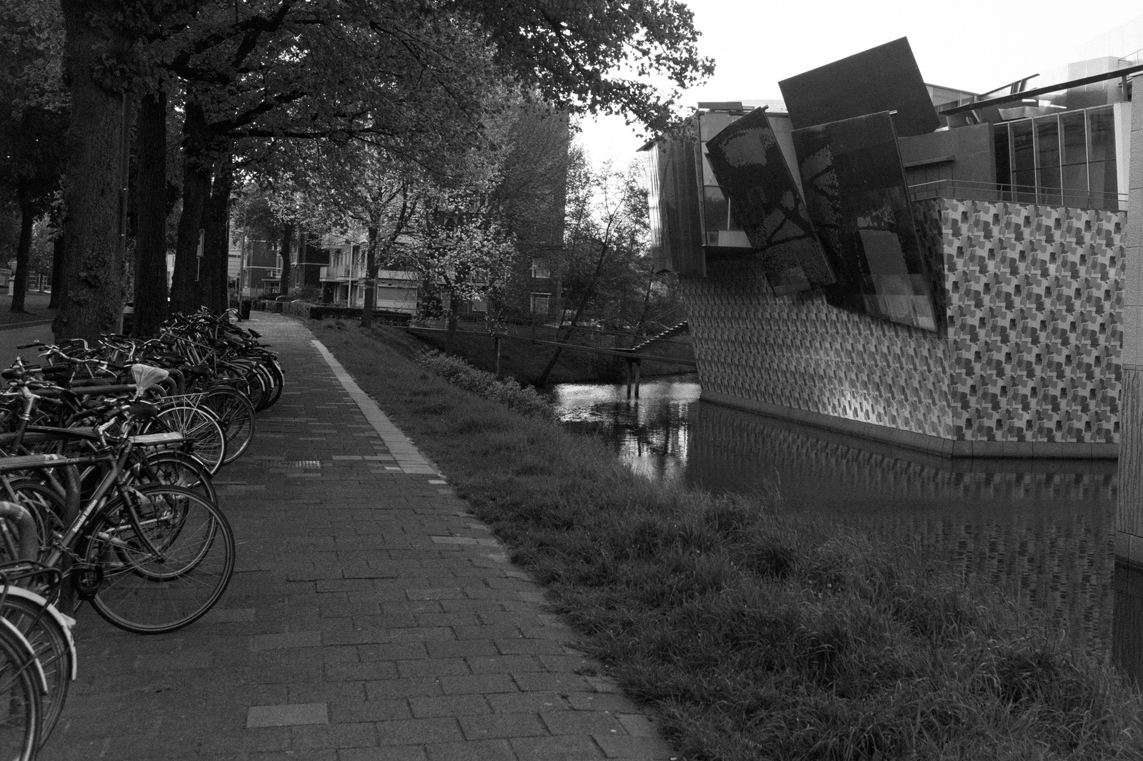 Urban Serenity in Monochrome