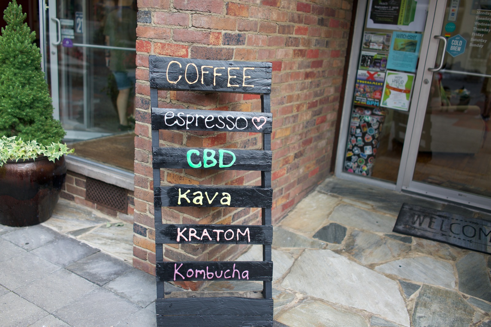 Chalkboard of Curiosities