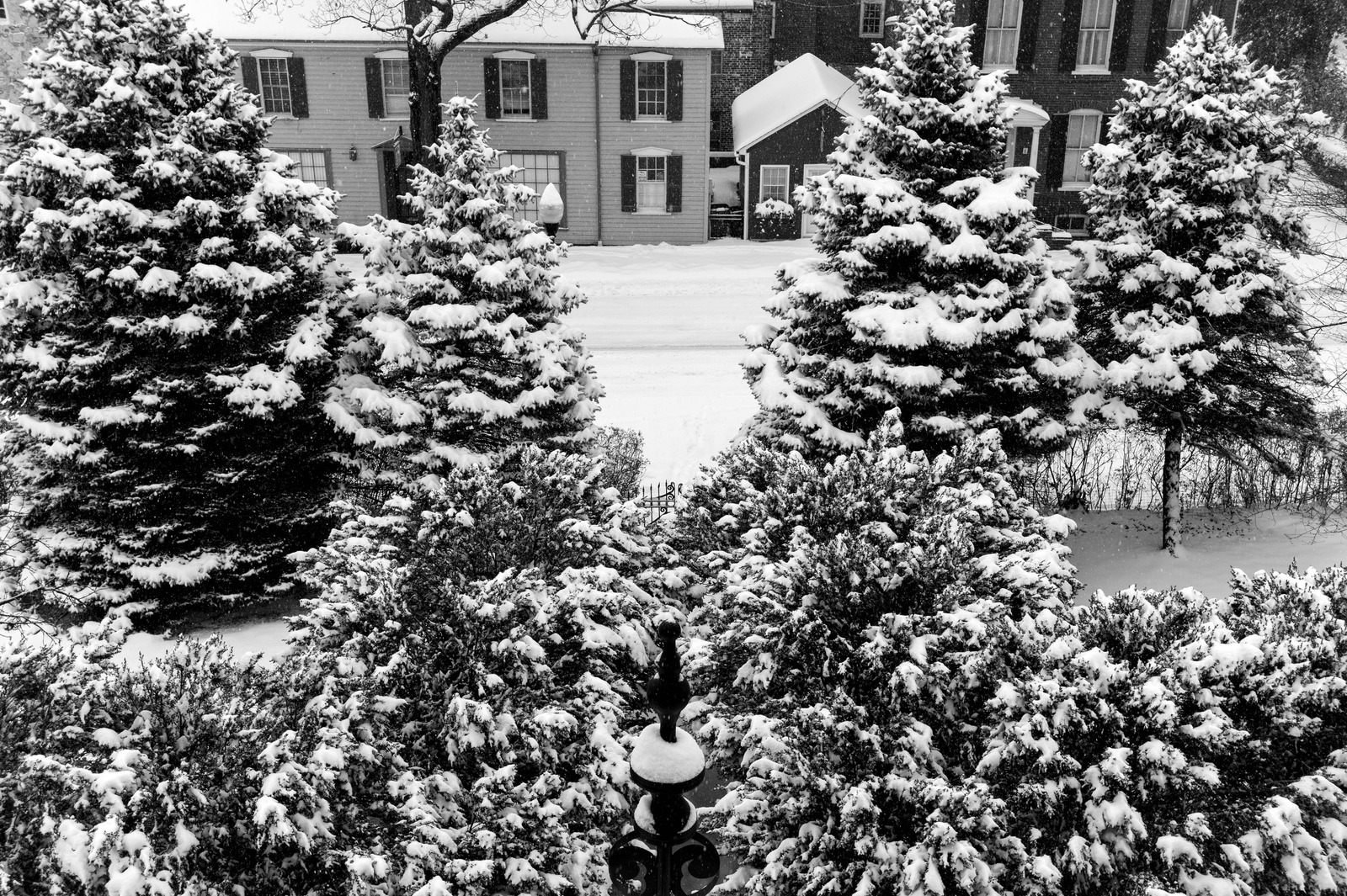 Winter's Still Embrace