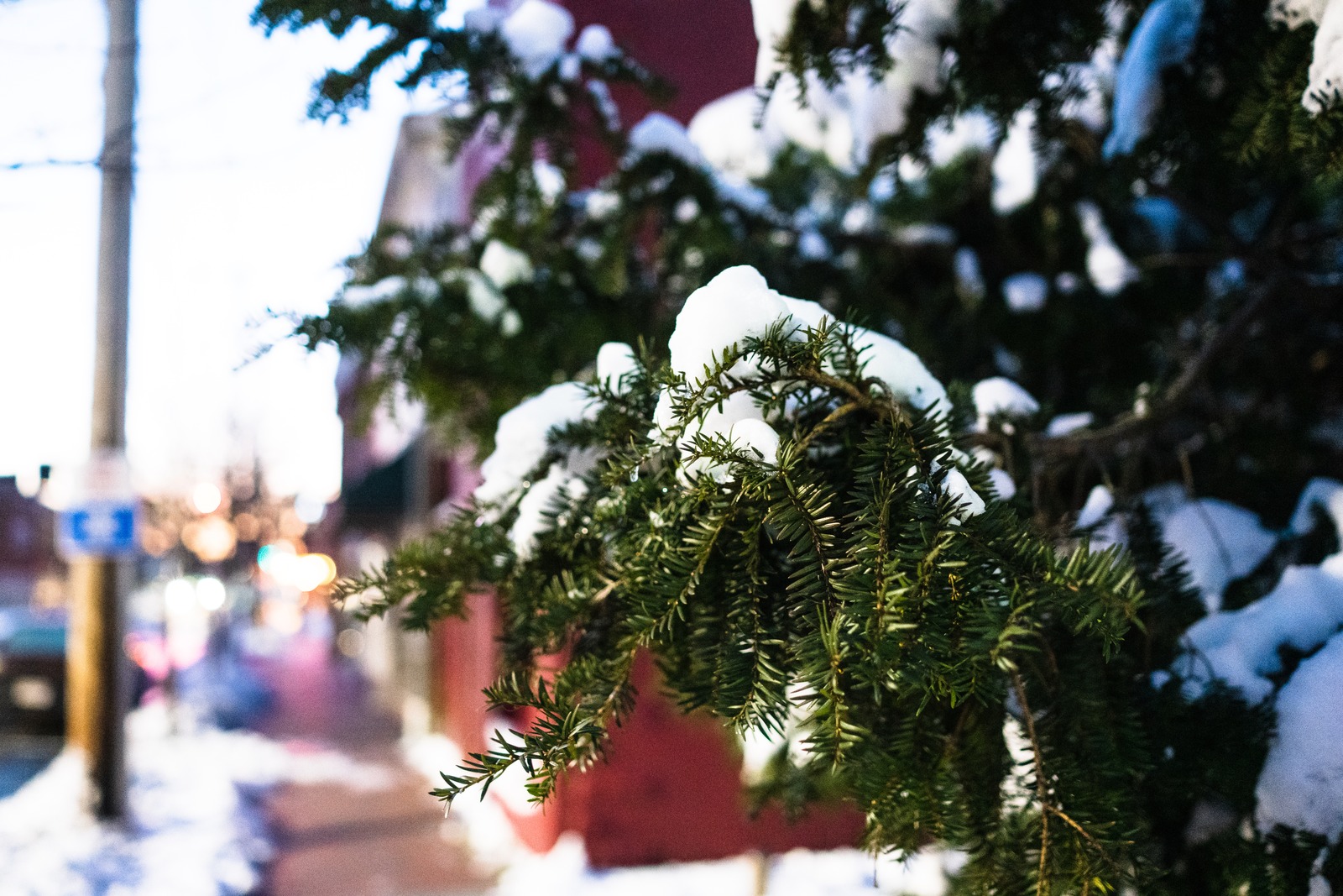 Winter's Gentle Embrace