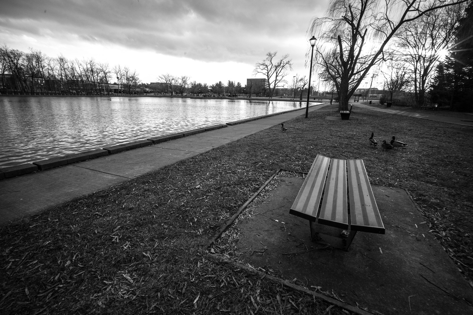 Quiet Solitude by the Water